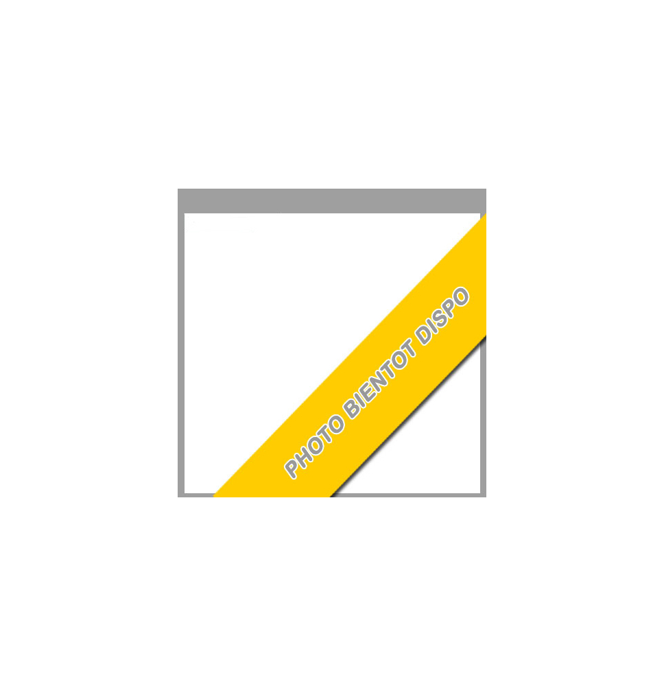 Filets pour buts roller Hockey réglementaires